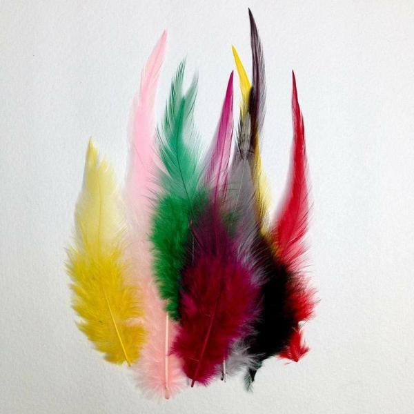 Craft Feathers |  Assorted Colours Craft Feathers Art & Craft Essentials Craft Feathers