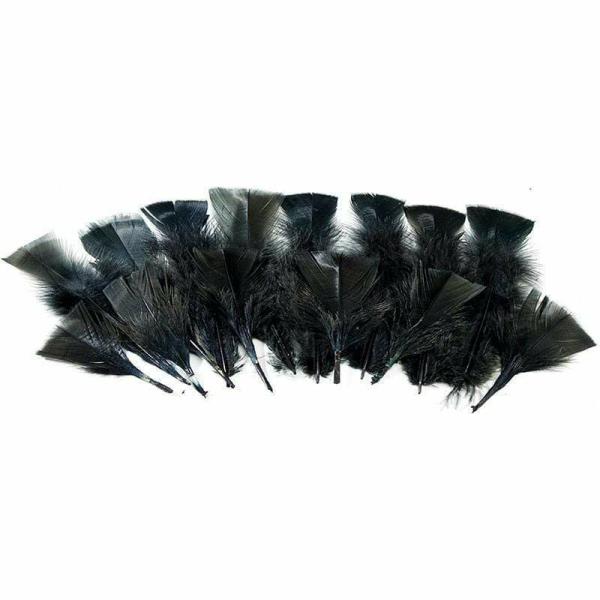 Craft Feathers |  Black Colour Craft Feather Art & Craft Essentials Craft Feathers