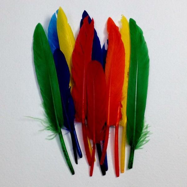 Craft Feathers |  Long Mixed Assorted Colours Craft Feathers Art & Craft Essentials Craft Feathers