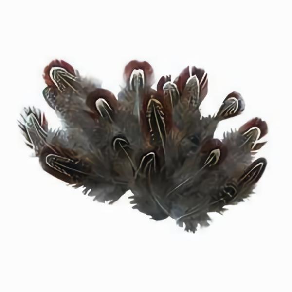 Craft Feathers |  Neck Plumage Craft Feathers Art & Craft Essentials Craft Feathers