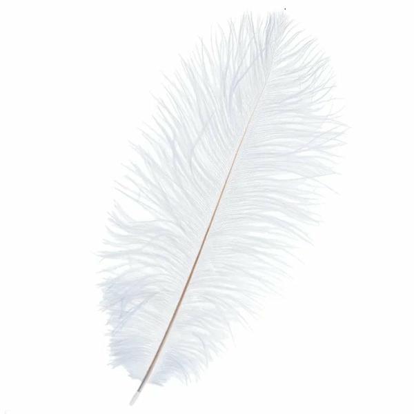 Craft Feathers |  Ostrich Feathers Art & Craft Essentials Craft Feathers