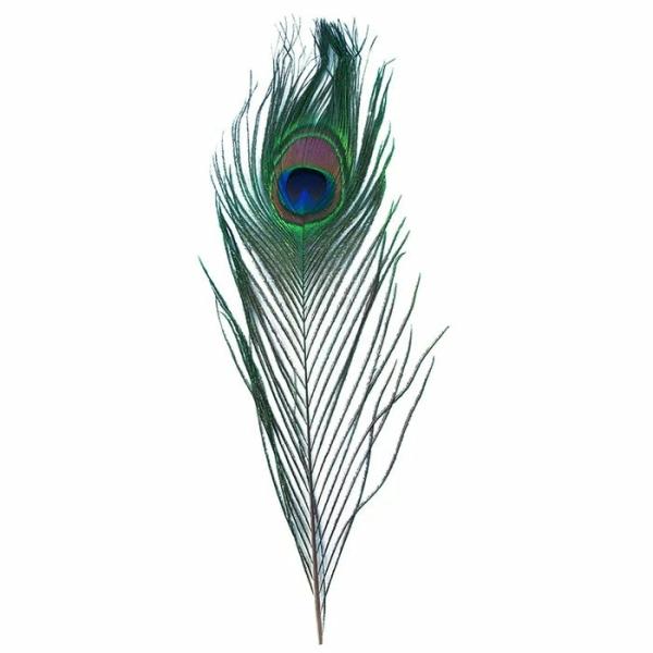 Craft Feathers |  Peacock Eyes Craft Feathers Art & Craft Essentials Craft Feathers