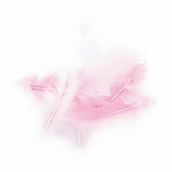 Craft Feathers |  Pink/White Craft Feathers Art & Craft Essentials Craft Feathers