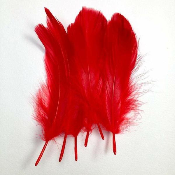 Craft Feathers |  Red Colour Craft Feathers Art & Craft Essentials Craft Feathers