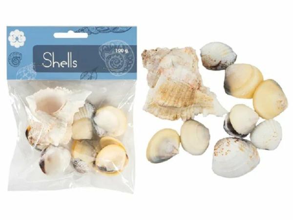 Other Craft Supplies |  Assorted Craft Sea Shells Art & Craft Essentials Other Craft Supplies